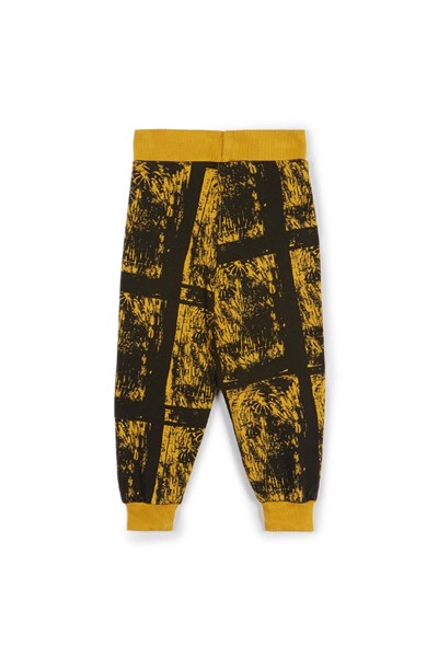 عرض تفاصيل FABRICIO HYDRA YELLOW
 صورة FABRICIO HYDRA YELLOW