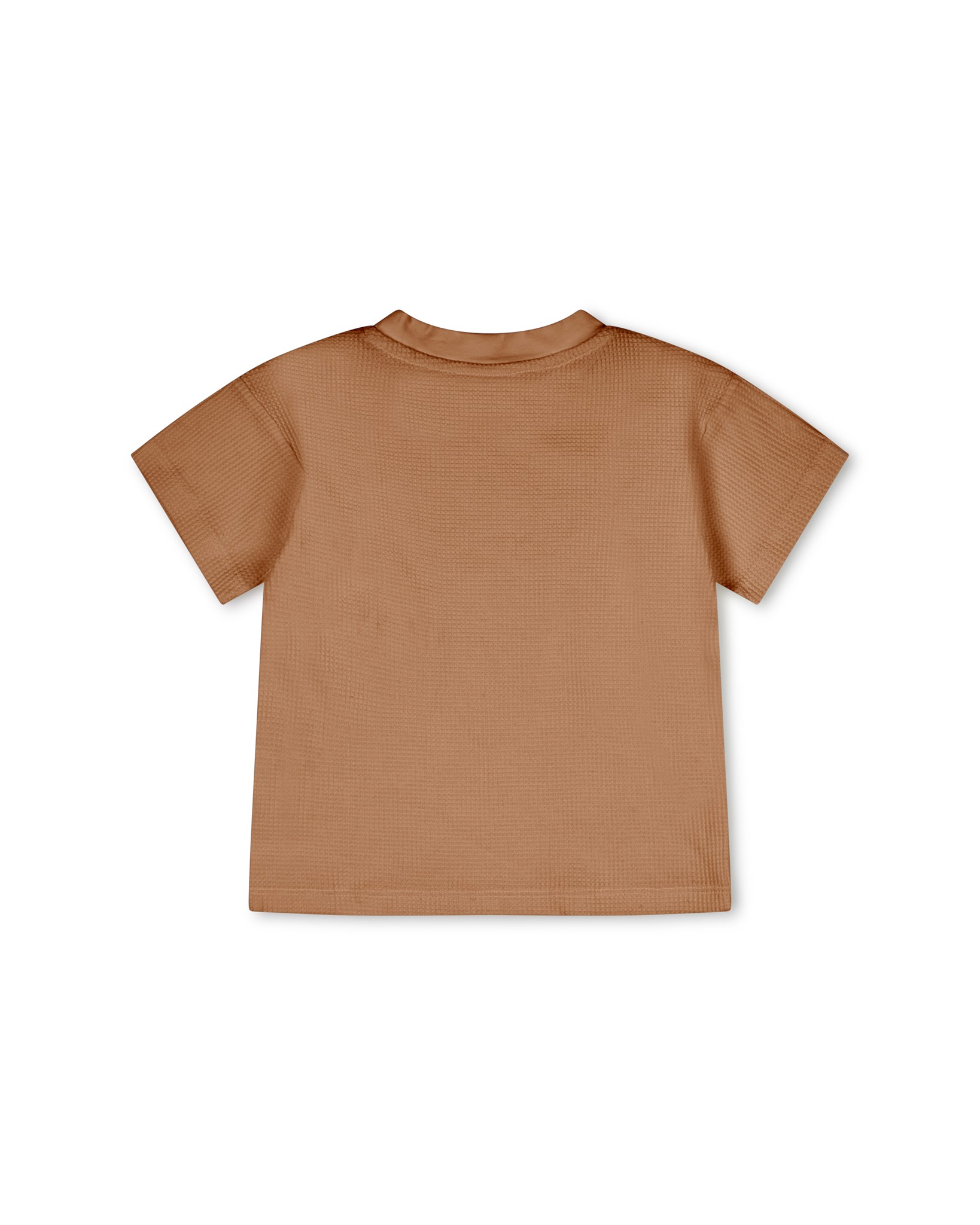 Picture of Organic Cotton T-Shirt Rust